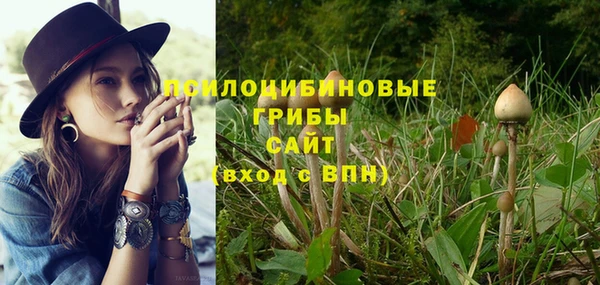 индика Алзамай