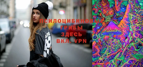 МДМА Алексеевка